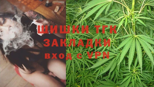 сатива Абаза