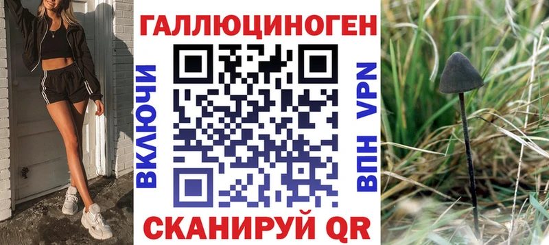 Псилоцибиновые грибы GOLDEN TEACHER  где можно купить наркотик  Агрыз 